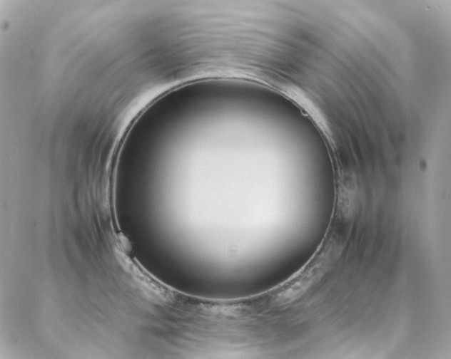 X0000088361004200705221026