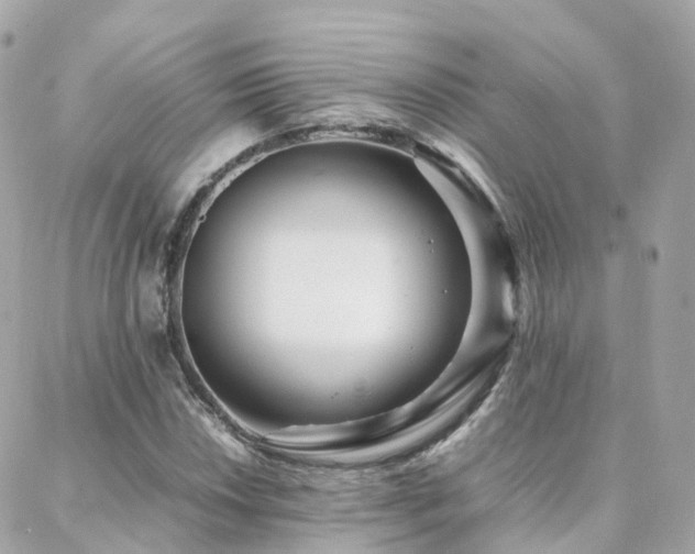 X0000088361018200705221025