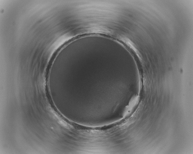 X0000088361024200705221026