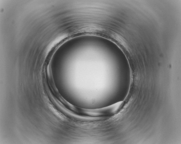 X0000088361026200705221026