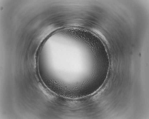 X0000088361031200705221026
