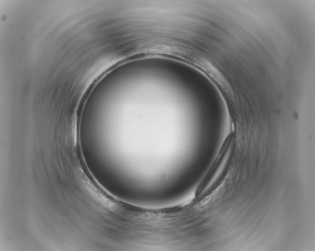 X0000088361036200705221026