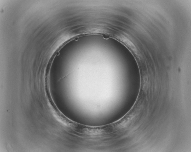 X0000088361039200705221026