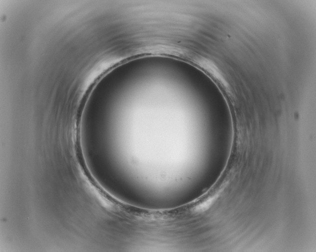 X0000088361040200705221026