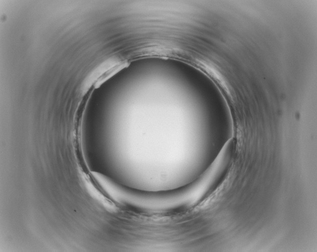 X0000088361042200705221026