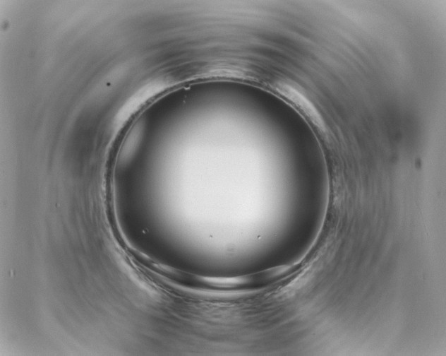 X0000088361043200705221026