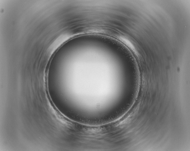 X0000088361047200705221026
