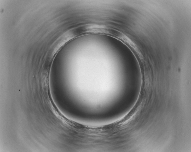 X0000088361049200705221026