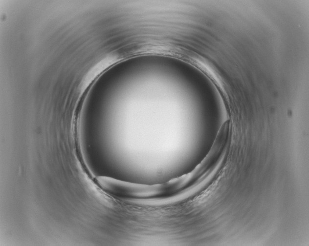 X0000088361050200705221026