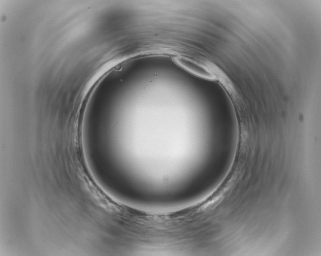 X0000088361052200705221026