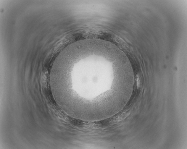 X0000088361059200705221025