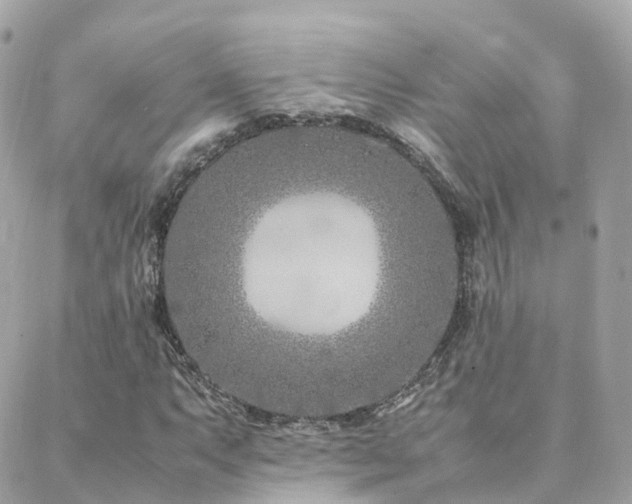 X0000088361063200705221025