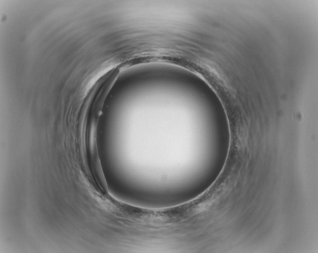 X0000088361073200705221025
