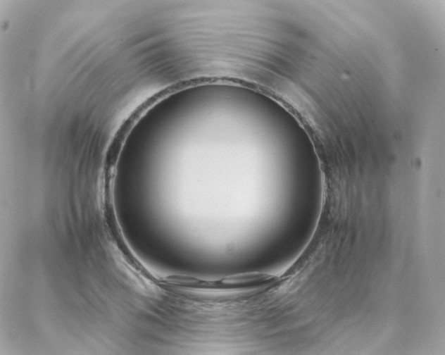 X0000088361076200705221025