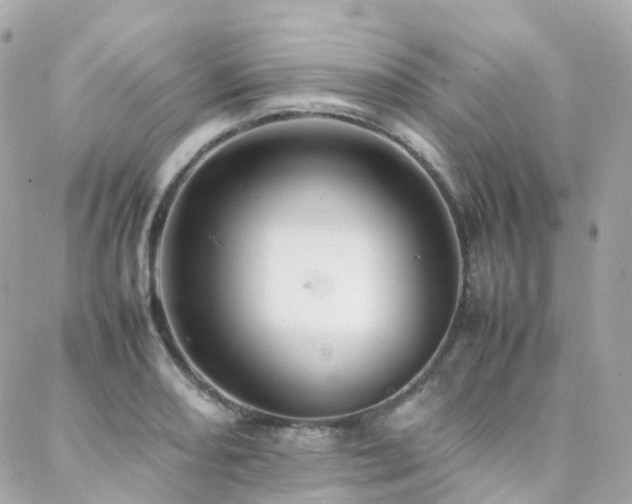 X0000088361082200705221025