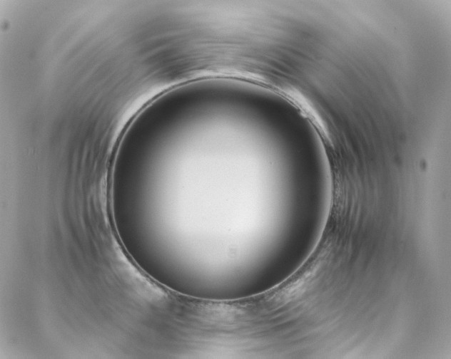 X0000088361100200705221025