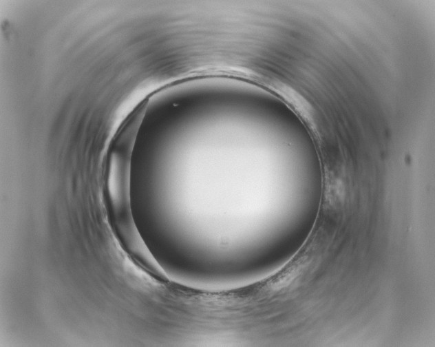 X0000088361102200705221025