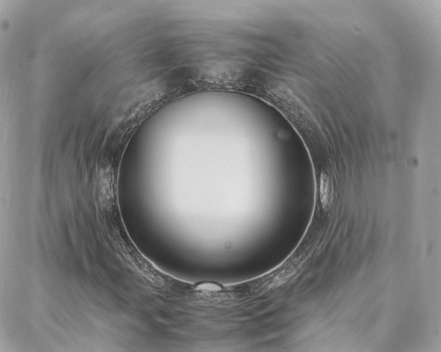 X0000088361107200705221024