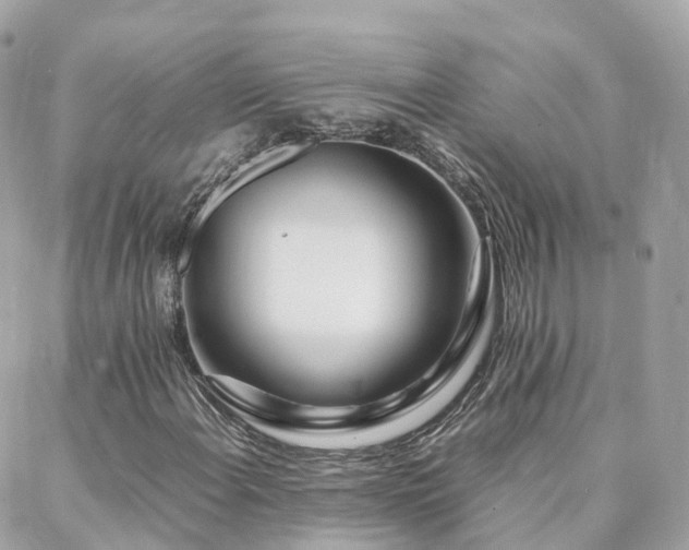 X0000088361108200705221024