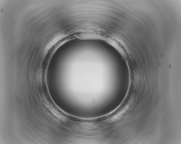 X0000088361114200705221024
