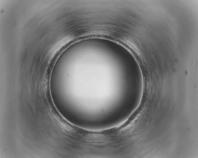 X0000088361119200705221024