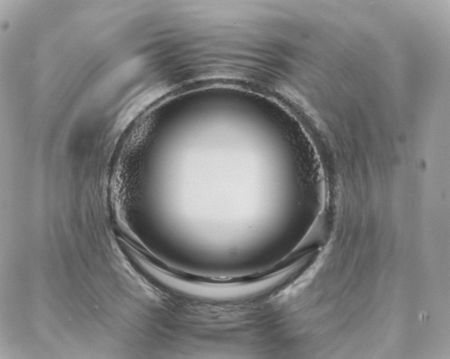 X0000088361121200705221024