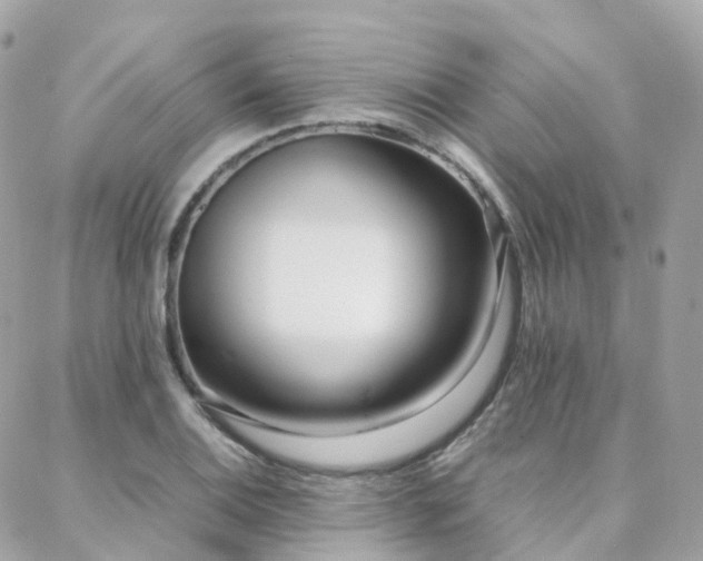 X0000088361124200705221024