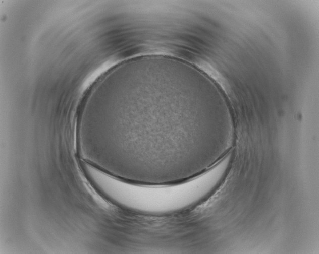 X0000088361127200705221024