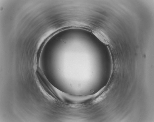 X0000088361128200705221024