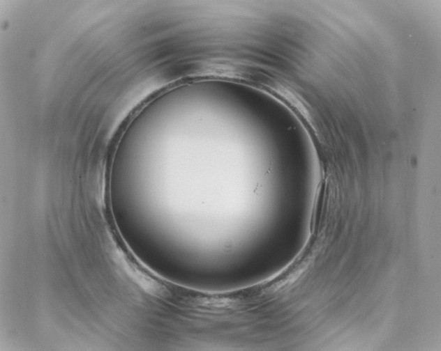 X0000088361131200705221024
