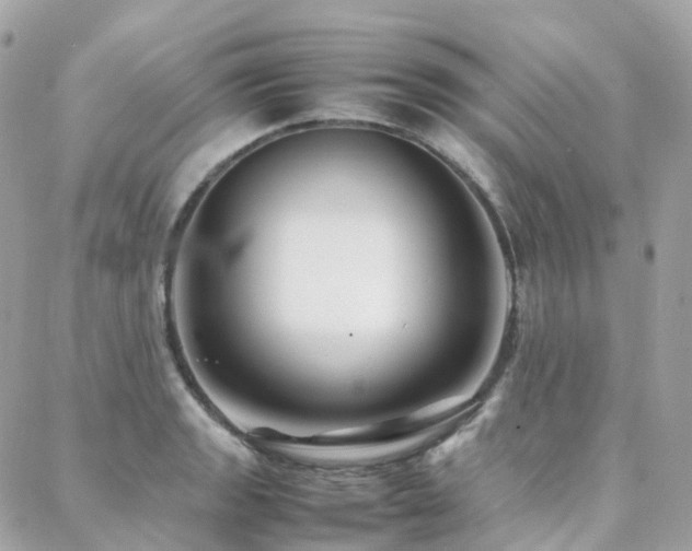 X0000088361133200705221024