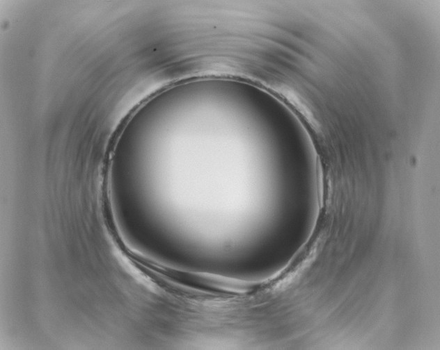 X0000088361134200705221024