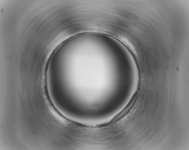 X0000088361136200705221024