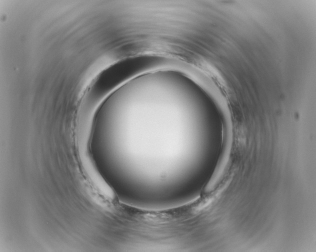 X0000088361138200705221024