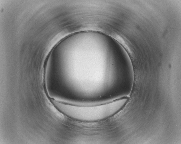 X0000088361140200705221024