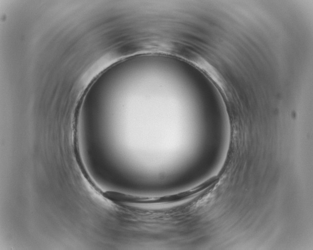 X0000088361143200705221024