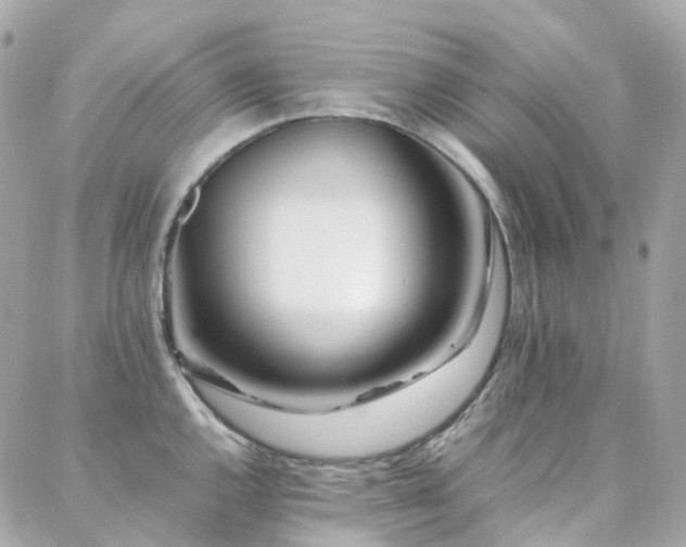 X0000088361144200705221024