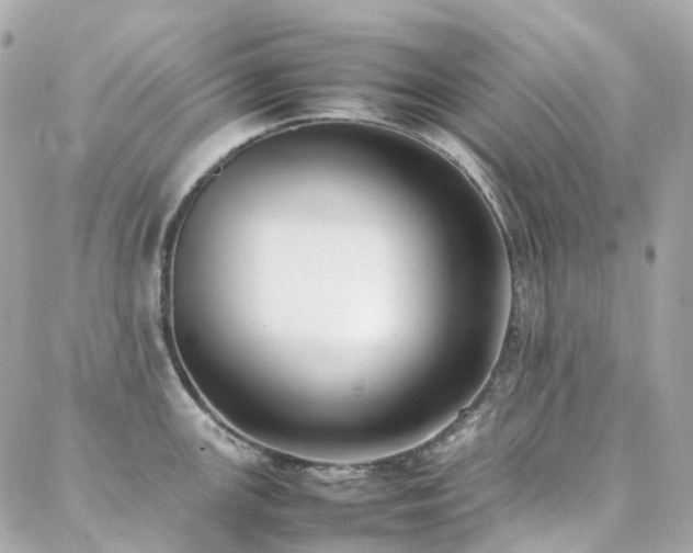 X0000088361147200705221024