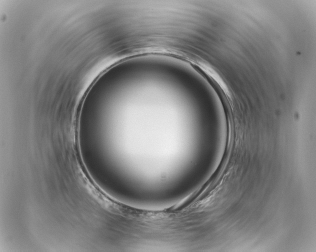X0000088361148200705221024