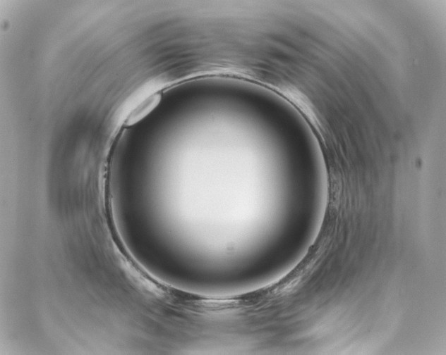 X0000088361151200705221024