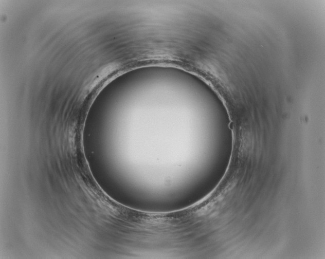 X0000088361162200705221024
