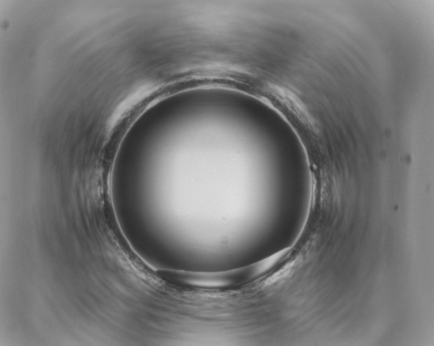 X0000088361164200705221024