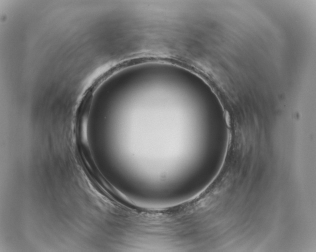 X0000088361168200705221023