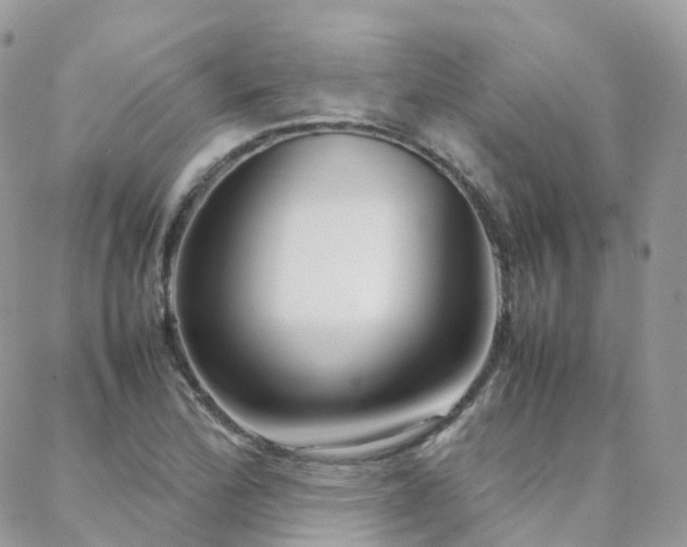 X0000088361172200705221023