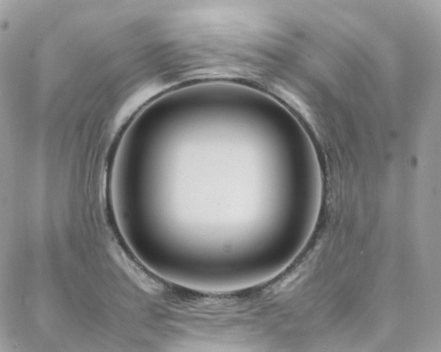 X0000088361179200705221023