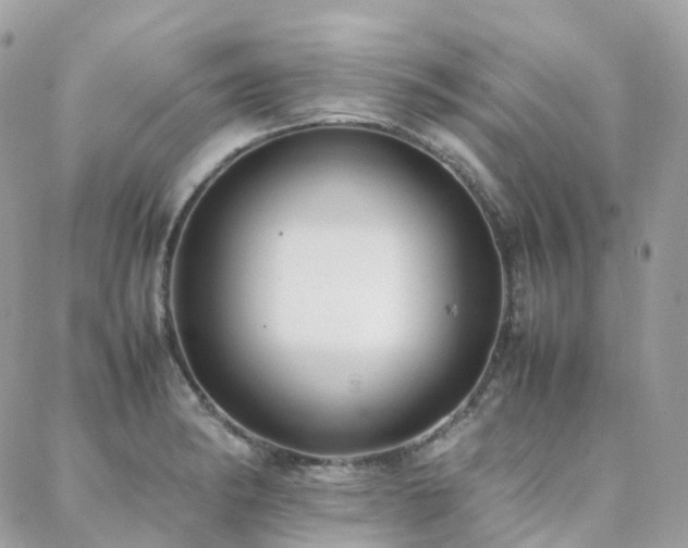 X0000088361182200705221023