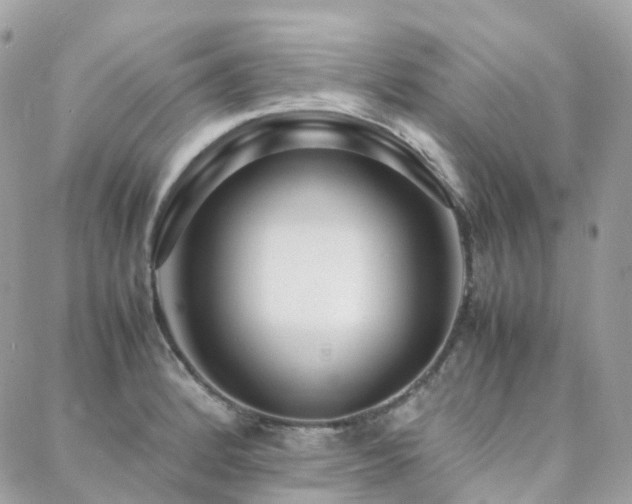 X0000088361184200705221023