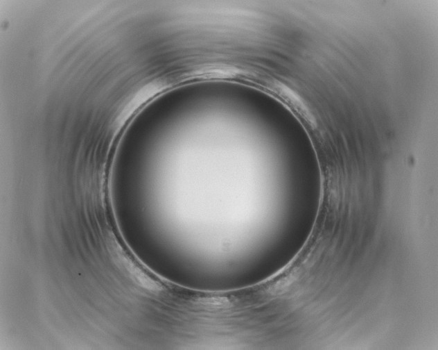 X0000088361186200705221023