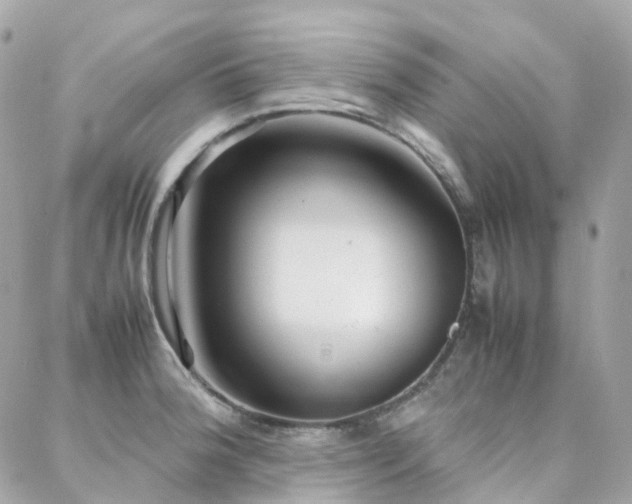 X0000088361188200705221023