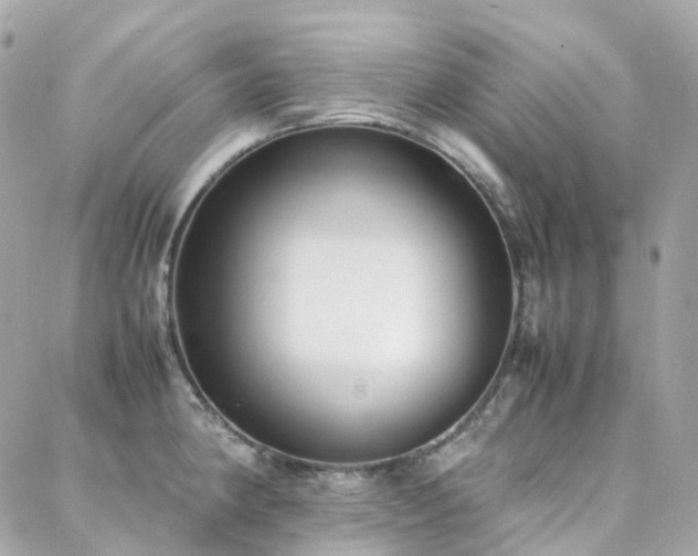 X0000088361190200705221023